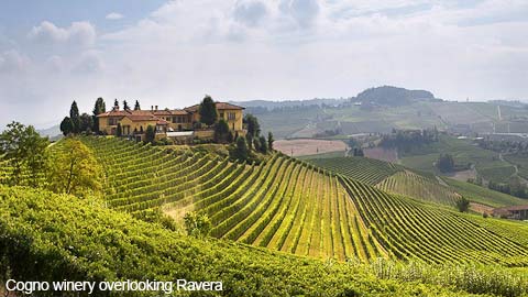 2019 Elvio Cogno Barolo Cascina Nuova